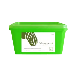 Echinacea