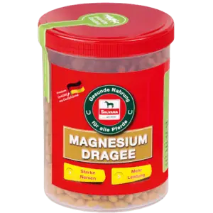 Magnesium Dragees (0,75 kg)