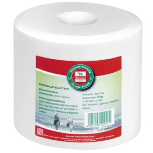 Saltsten Meersalz-Lechstein (4 st a 5 kg)