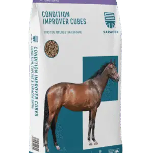 Condition Improver Cubes<div class="piap-faktablad" data-url=https://saracen.se/wp-content/uploads/2026/02/Condition-Improver-Cubes-svenska-1-1.pdf"></div>