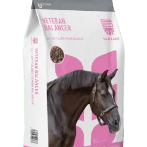 Veteran Balancer, 20 kg<div class="piap-faktablad" data-url=https://saracen.se/wp-content/uploads/2026/03/Veteran-Balancer-svenska.pdf"></div>